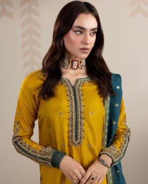 WhatsApp Image 2026-03-06 at 13.50.26 (3)