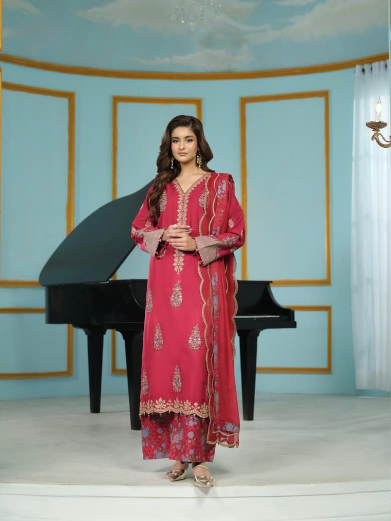 WhatsApp Image 2026-03-12 at 13.22.48 (1)